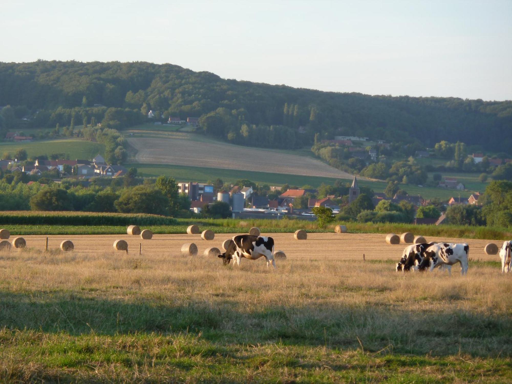 Entre Monts Et Collines B&B Et Spa En Option Exteriér fotografie